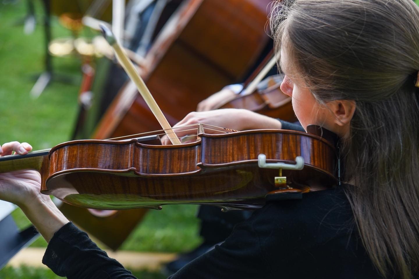 Geige - Tonkünstler-Orchester Niederösterreich